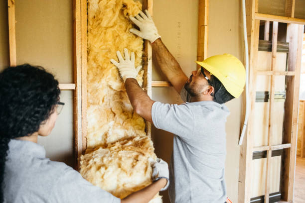 Best Garage Insulation Installation  in Bret Harte, CA